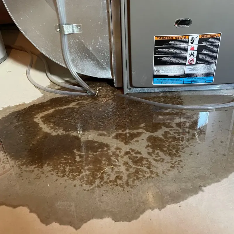 Pipe Burst and Leak Restoration in Hazlet Township, NJ