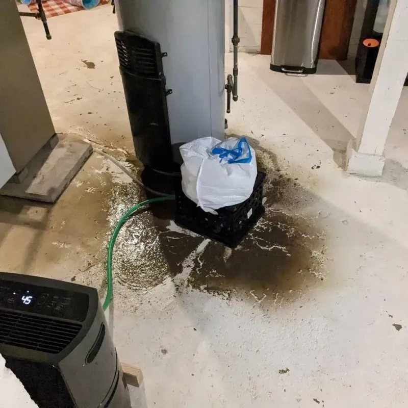 Sewage Backup Cleanup Service in Hazlet Township, NJ